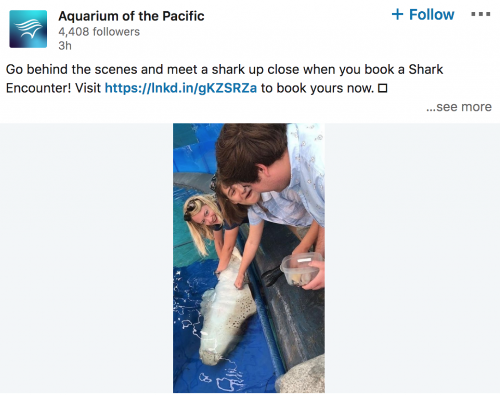 aquarium marketing strategy on instagram